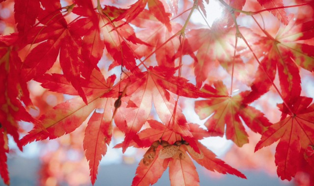 2026年2月财运颇为旺盛的 3 生肖，赚得开心、花的安心，前程似锦