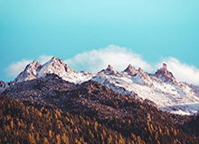 乐鱼app-乒乓球亚洲杯：王艺迪3-0战胜米尔卡迪罗娃晋级